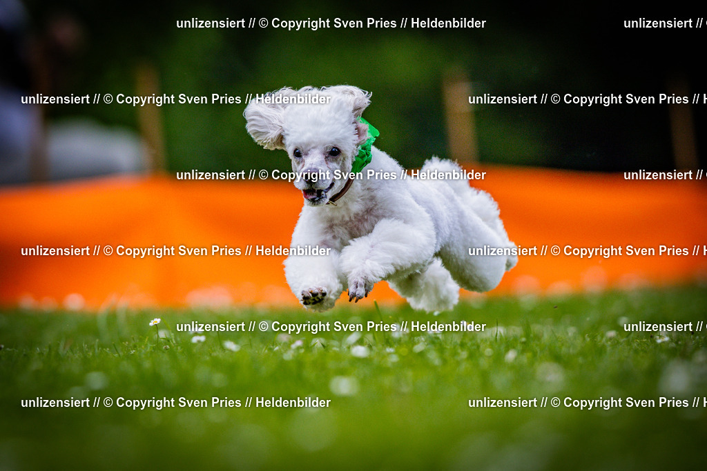 Sven Pries | 2025-05-29 - Pudelrennen KA-Durlach - Realisiert mit Pictrs.com
