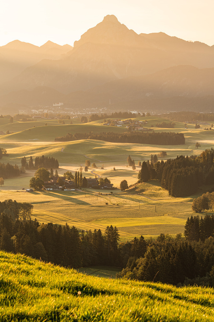 Allgäu Wandbild -  Blick über die Allgäuer Landschaft hin zum Säuling bei Sonnenaufgang | Michael Helmer - Allgäu Bilder auf Leinwand bestellen
