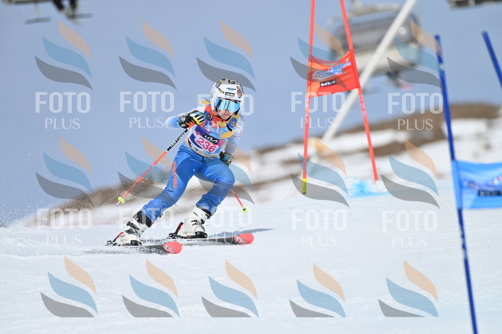 BGV_1617 | holidayphoto