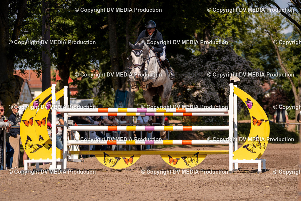 Eppelheim Tag 3-883 | dv-media-shop - Realisiert mit Pictrs.com