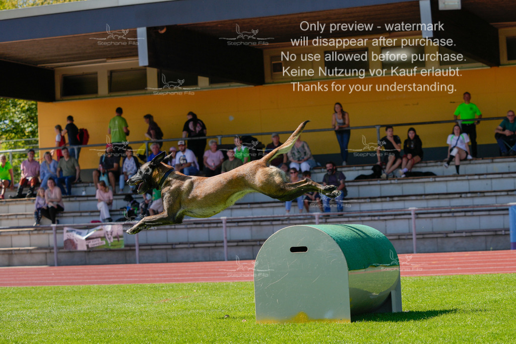 Sonntag_VK Hindernis (227 von 671) | stephaniefillaphotographie - Realisiert mit Pictrs.com