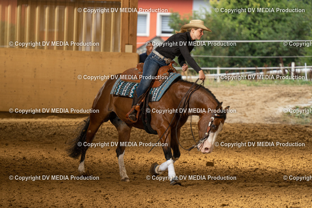 LAU01347 | dv-media-shop - Realisiert mit Pictrs.com