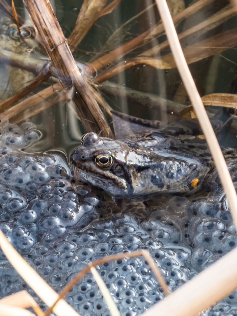 PSX_20230317_235754 | mtkfoto_ - Realisiert mit Pictrs.com