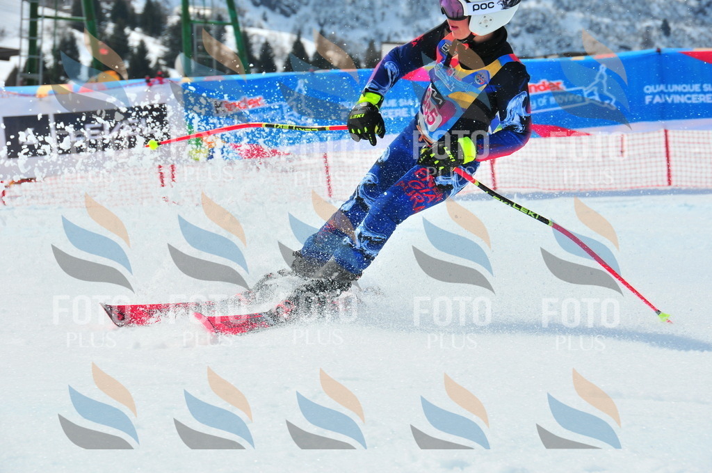 DSC_7264 | holidayphoto