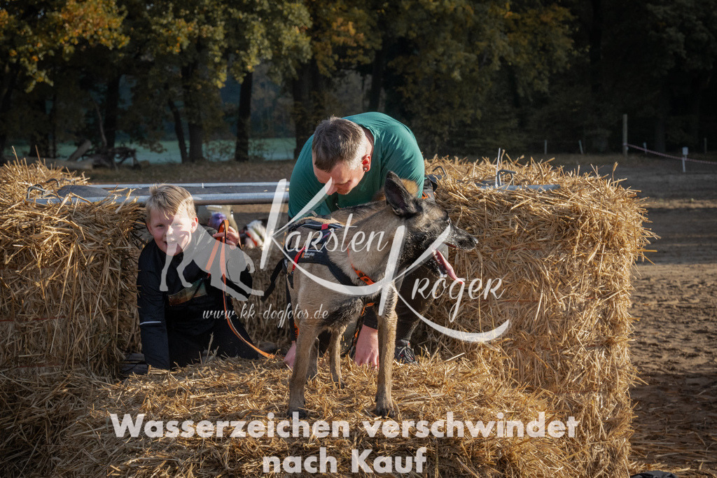 0945_ZZ94476 | kk-dogfotos
