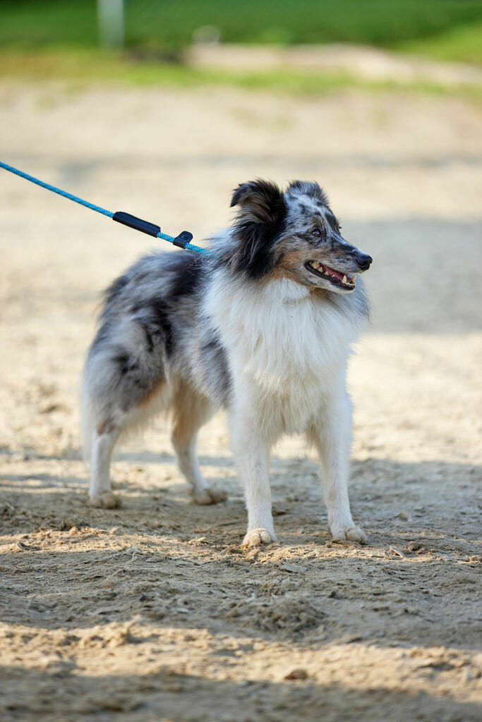 580A0015 | Peter Fridle Fotografie - Realisiert mit Pictrs.com