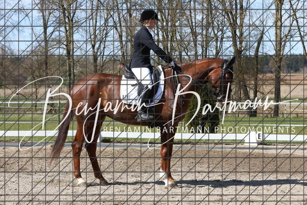 AZ2A4648 | Benjamin Bartmann Photomoments