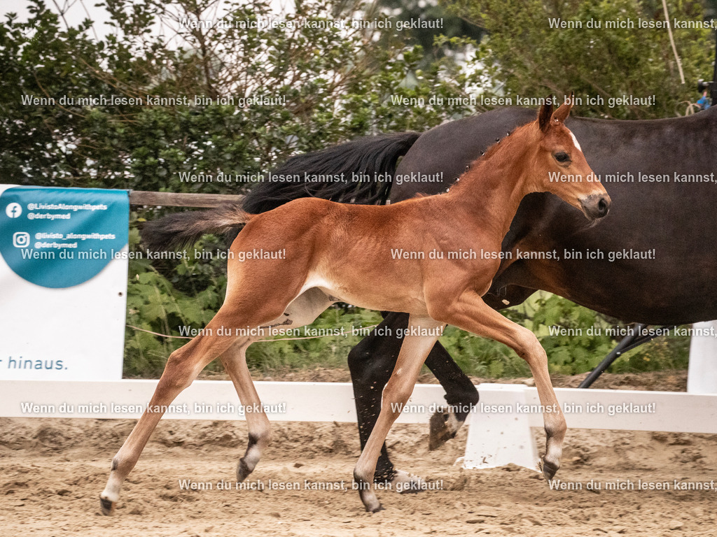 A10I5166 | photographylinaismer - Realisiert mit Pictrs.com