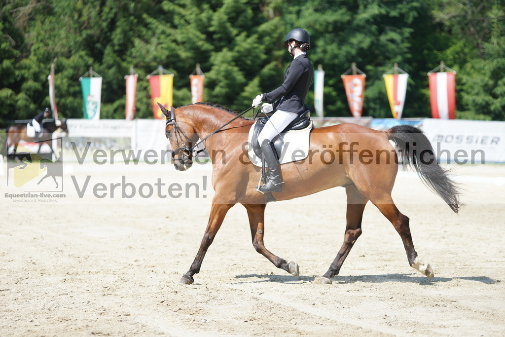 DSC01619 | equestrian-live-com