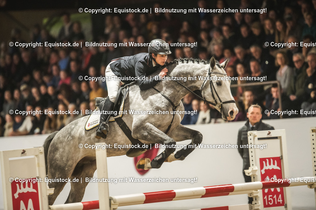 20240302_Hengstvorstellung_Marbach_TOMsPiC_0325-2 | equistock