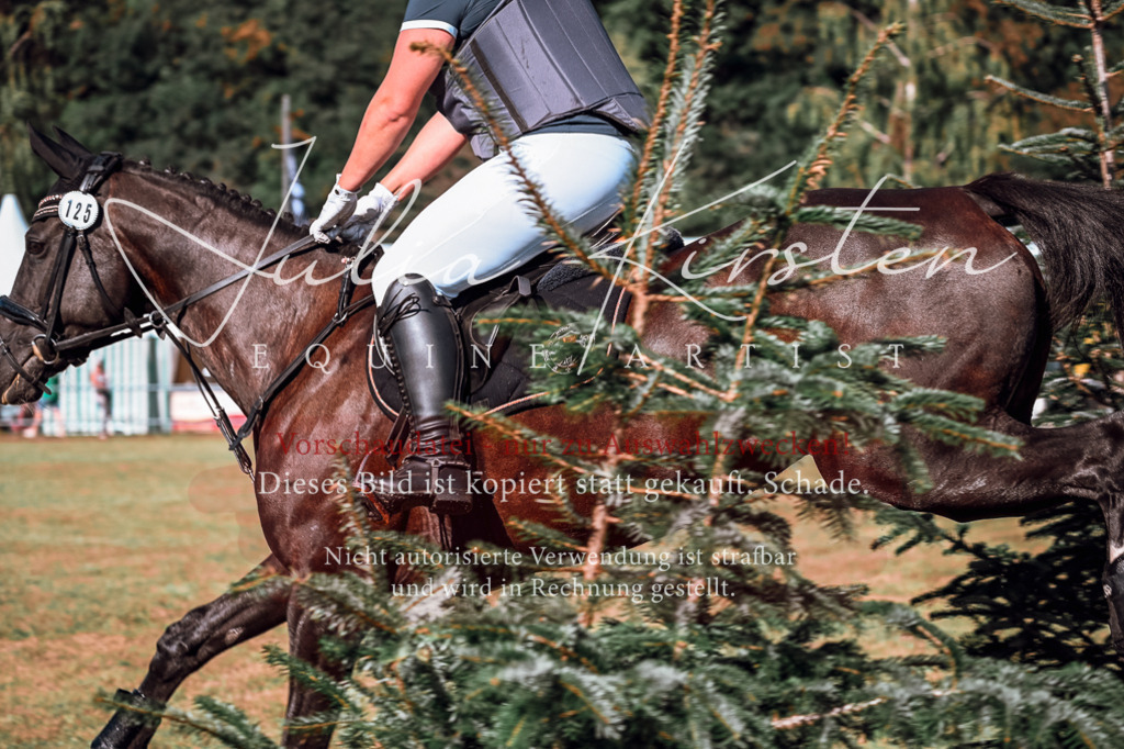 DSC_0603 | Pferde- und Turnierfotografie in Westsachsen. Pferdeportraits, Auftragszeichnungen und intuitive Kunst.