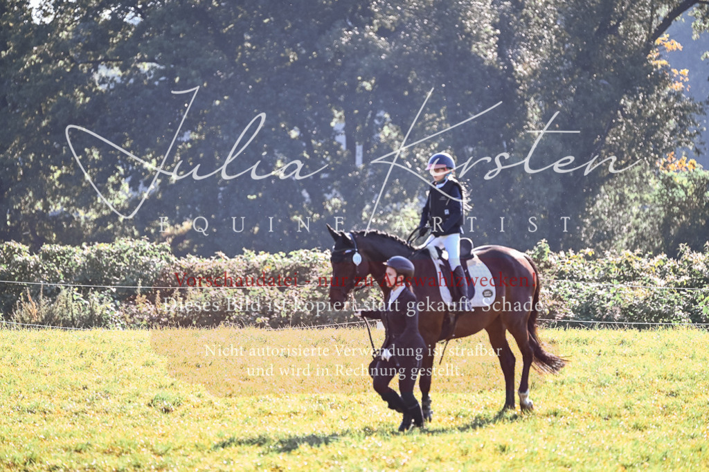 DSC_0244 | Pferde- und Turnierfotografie in Westsachsen. Pferdeportraits, Auftragszeichnungen und intuitive Kunst.