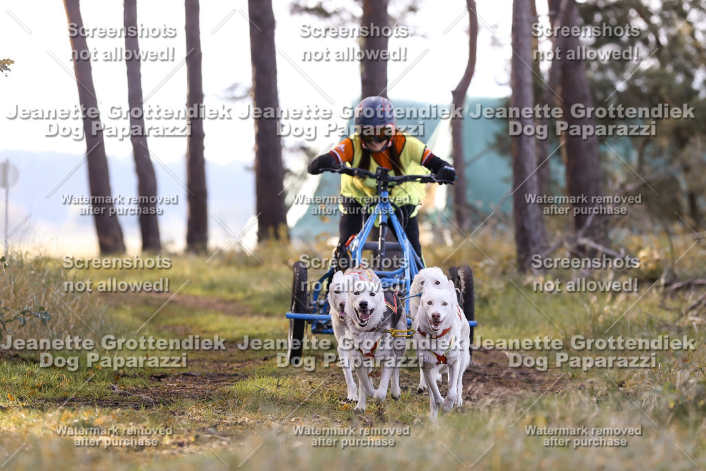 Dog Paparazzi - Elsholz 25 -88 | Dog Paparazzi Jeanette Grottendiek Fotografie & Videografie - Realisiert mit Pictrs.com