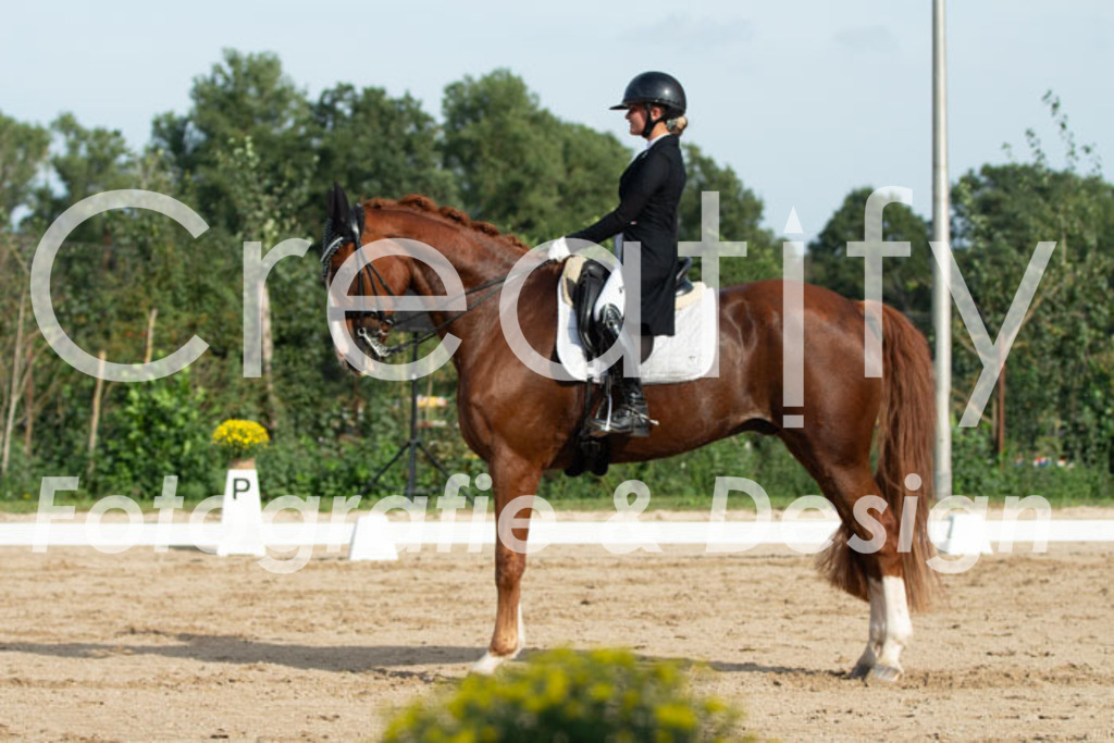 IMG_4337 | Creatify Fotografie