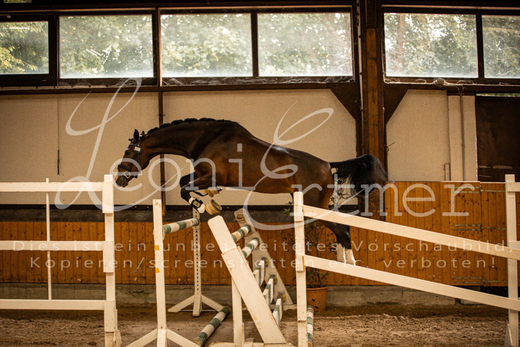 2FS_L00111 | Leoni Ertmer Photography - Realisiert mit Pictrs.com