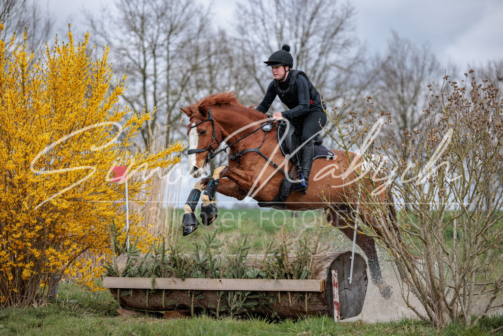 20260329-_3LI5235 | Tierfotografie Pferde, Hunde, Katzen, Haustiere.
Turnierfotografie Reitturniere, Reiten, Springreiten, Dressur in Hanau, dem Main-Kinzig-Kreis und dem Rhein-Main- Gebiet um Frankfurt