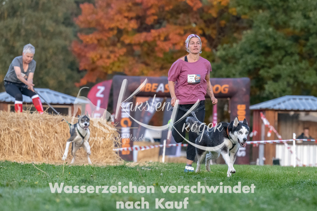 0810_ZZ94610-Bearbeitet | kk-dogfotos