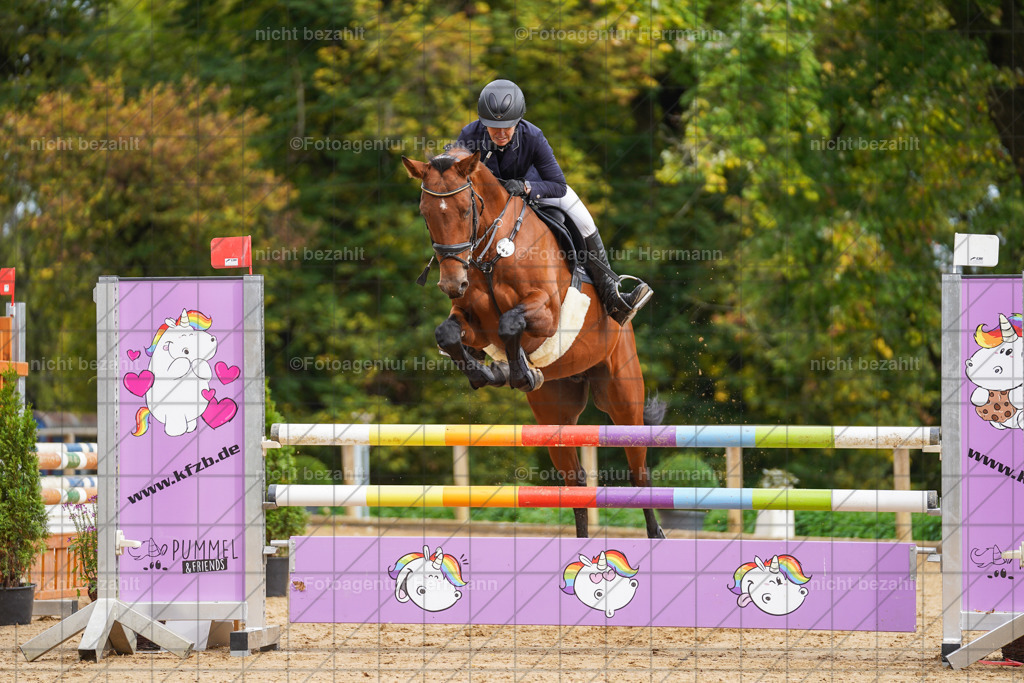 20221009-FAH08644 | Diessen am Ammersee, 2022, Dressur- und Springturnier, Reitsportbilder, Turnierfotografen Bayern, Pferdefotografen, Fotoagentur Herrmann, Turnierbilder