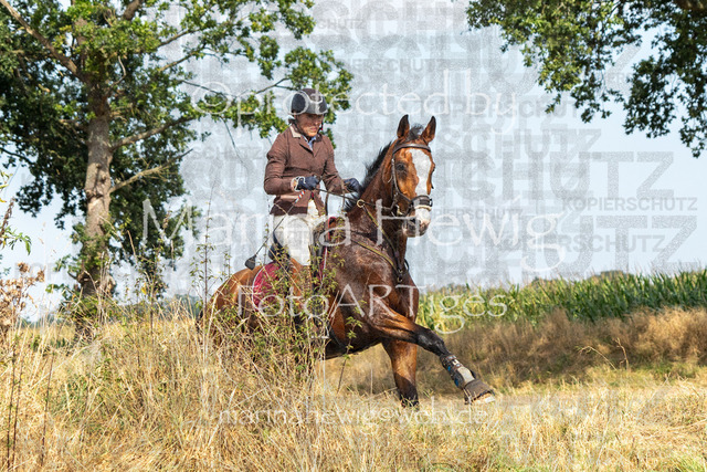 Jagd Perdoel_MarinaHewig_MCH8132 | Fotografie, FotoArt, PferdesportArt, Pferdesportfotografie, Landschaftsfotografie, Reisefotografie, Reise, Pferde - Realisiert mit Pictrs.com