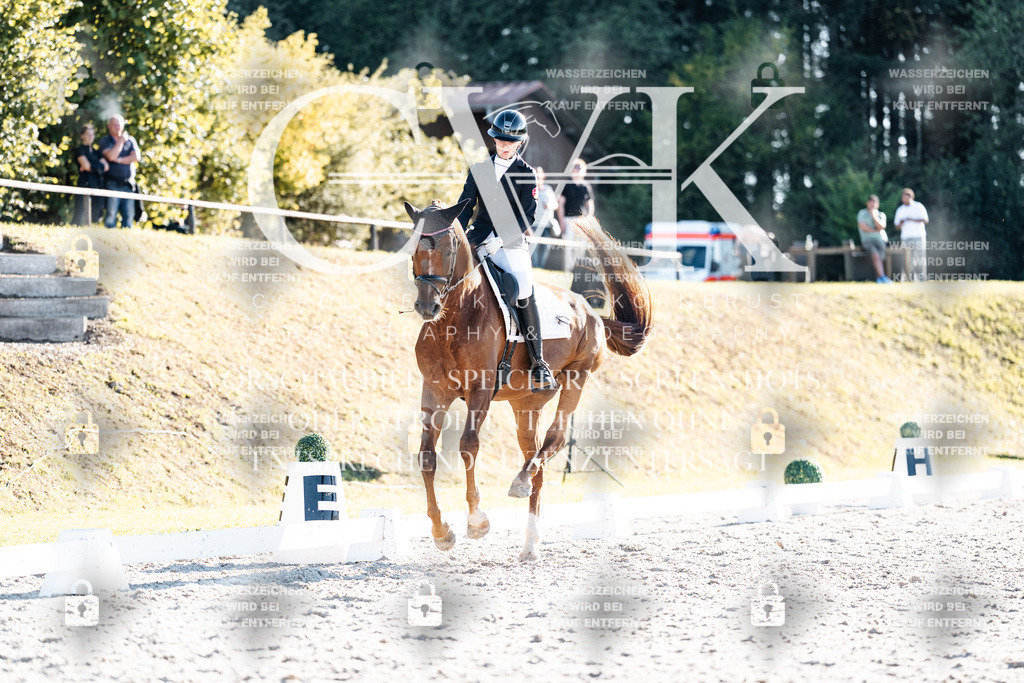 CK906711 | Turnierfotografie Pferdefotografie Trier Rheinland-Pfalz Pferdesport Reitsport Tierfotografie Sportfotografie Pferdevideo Pferdevideografie Equestrianvideography equestrianphotography  - Realisiert mit Pictrs.com