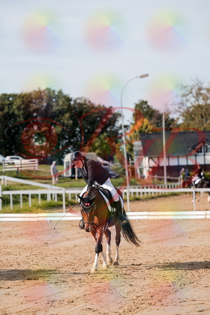 2026_10_03_Siefer-Hof_115828_Z63_31725428 | Professionelle Reitsport-, Turnier- und Eventfotografie von Robert Broda. Galerien mit ausgewählten und bearbeiteten Bildern direkt online ansehen und bestellen.