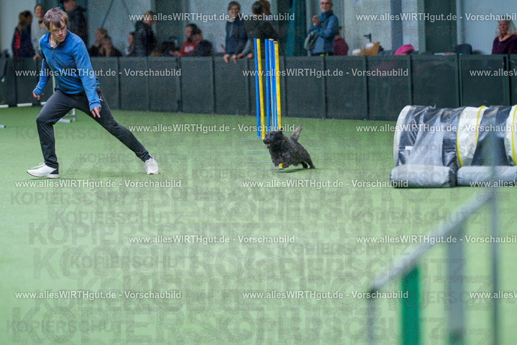@allesWIRTHgut_Tierfotografie - www.allesWIRTHgut.de - 2604251128-7R500729 | Professionelle Tierfotografie in Mönchengladbach von Daniel Wirth (allesWIRTHgut). Liebevolle & natürliche Bilder von Hunden & Katzen für unvergessliche Erinnerungen.