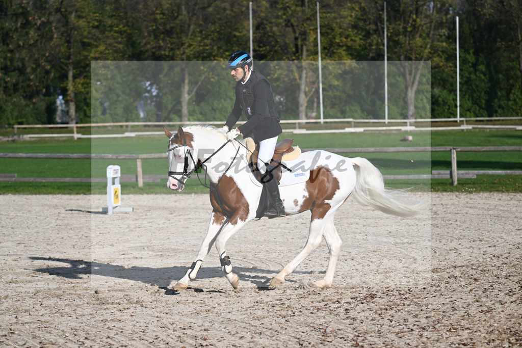 Kat-Nr. 4 Shalimar Coloured Phenom enal_Hoffmann_44240947 | hf-fotografie - Realisiert mit Pictrs.com