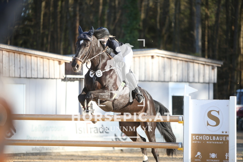 PP016049 | Willkommen bei Brunnmayr - Design & Fotografie – Ihrem Spezialisten für Reitturniere und Pferdeveranstaltungen in Oberösterreich, Salzburg und Bayern! Seit über 17 Jahren sind wir leidenschaftlich dabei.