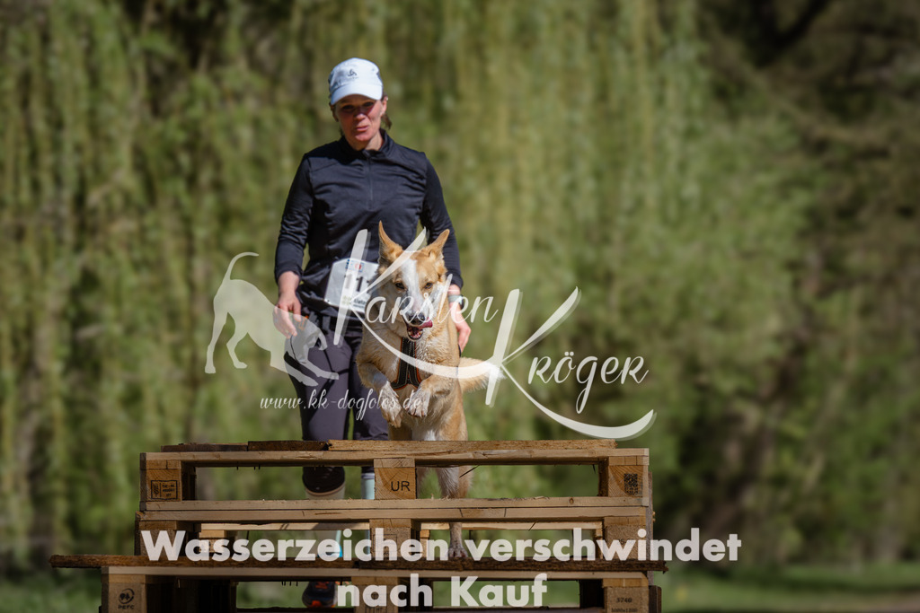 1019_ZZ94782 | kk-dogfotos