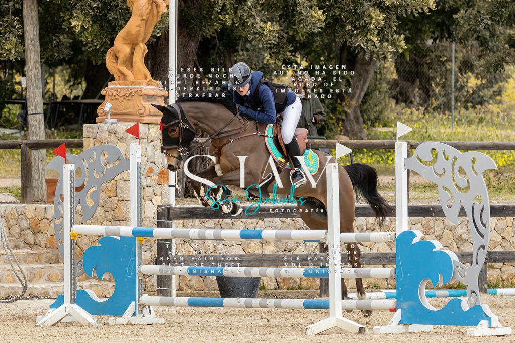 IMG_4790 | s-jay-photography - Realisiert mit Pictrs.com