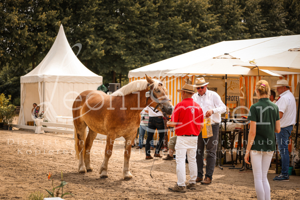 SaSieger00030 | Leoni Ertmer Photography - Realisiert mit Pictrs.com