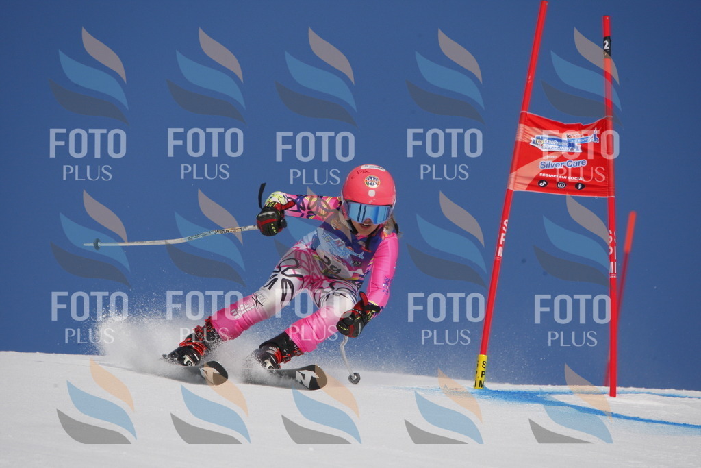 _W1G0398 | holidayphoto