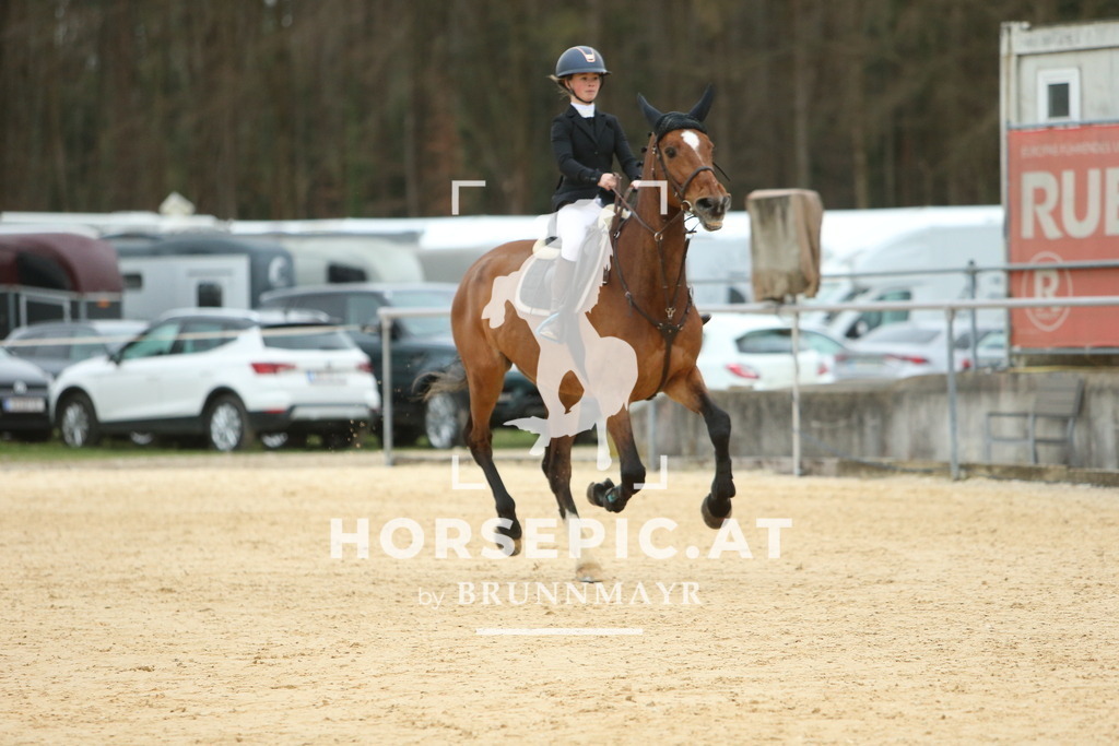 DL2Q2701 | Willkommen bei Brunnmayr - Design & Fotografie – Ihrem Spezialisten für Reitturniere und Pferdeveranstaltungen in Oberösterreich, Salzburg und Bayern! Seit über 17 Jahren sind wir leidenschaftlich dabei.