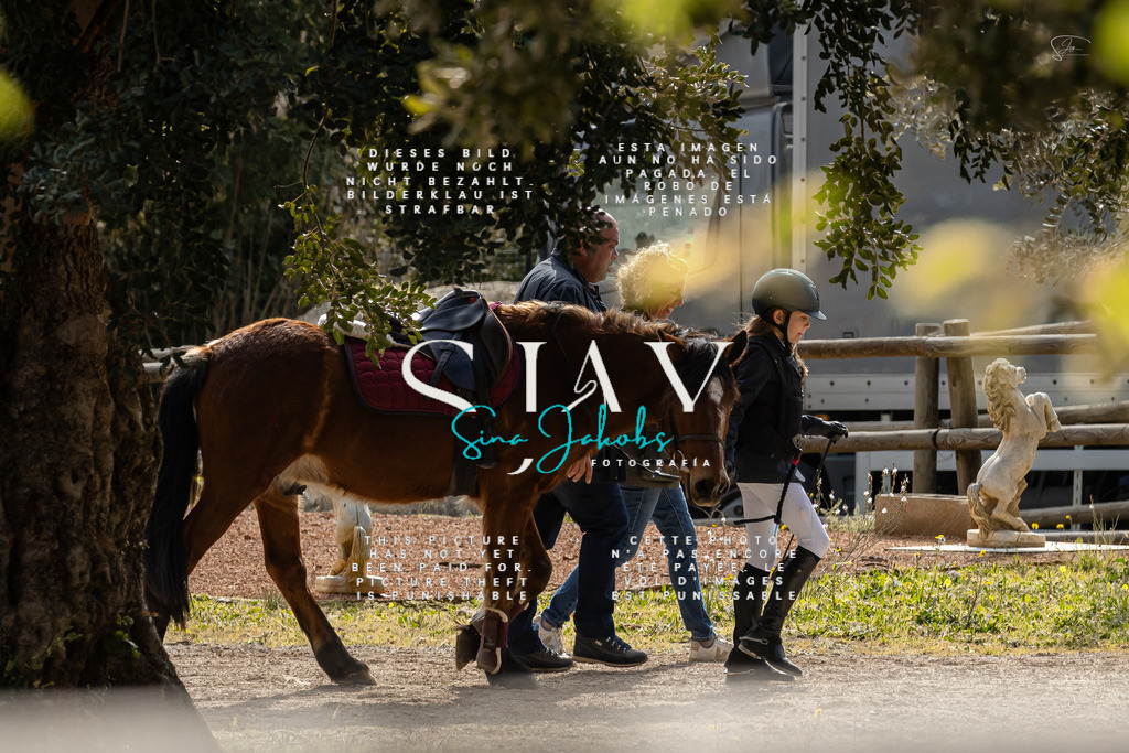 IMG_4467 | s-jay-photography - Realisiert mit Pictrs.com