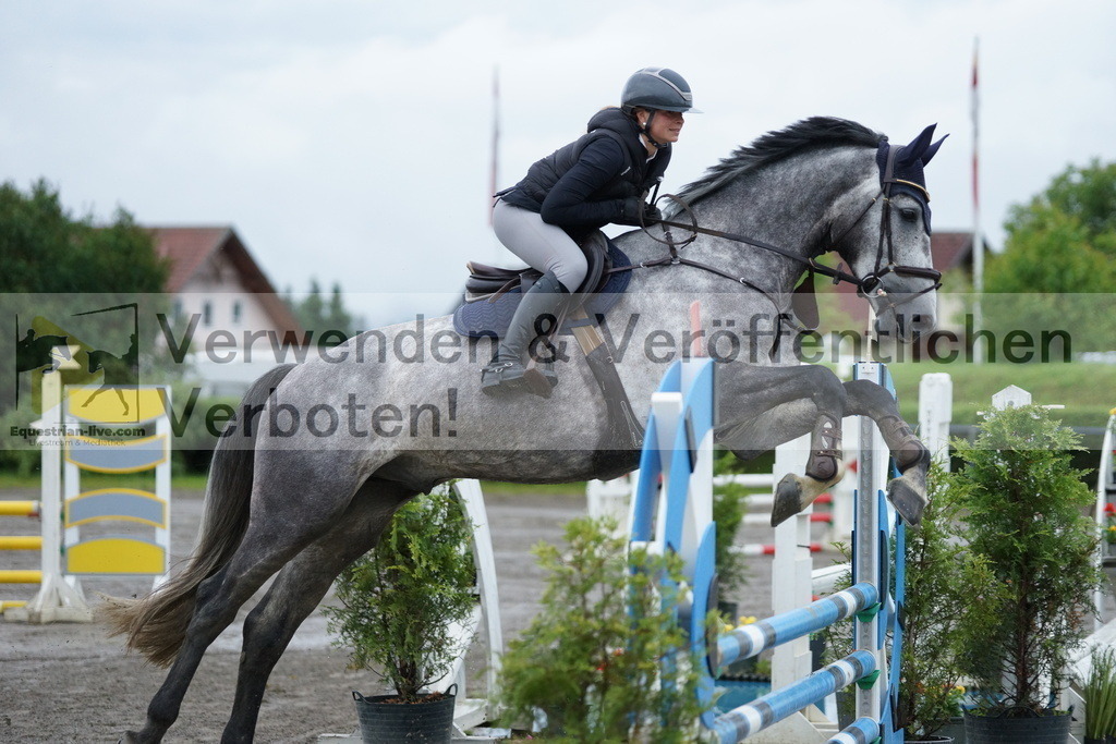 DSC06874 | equestrian-live-com