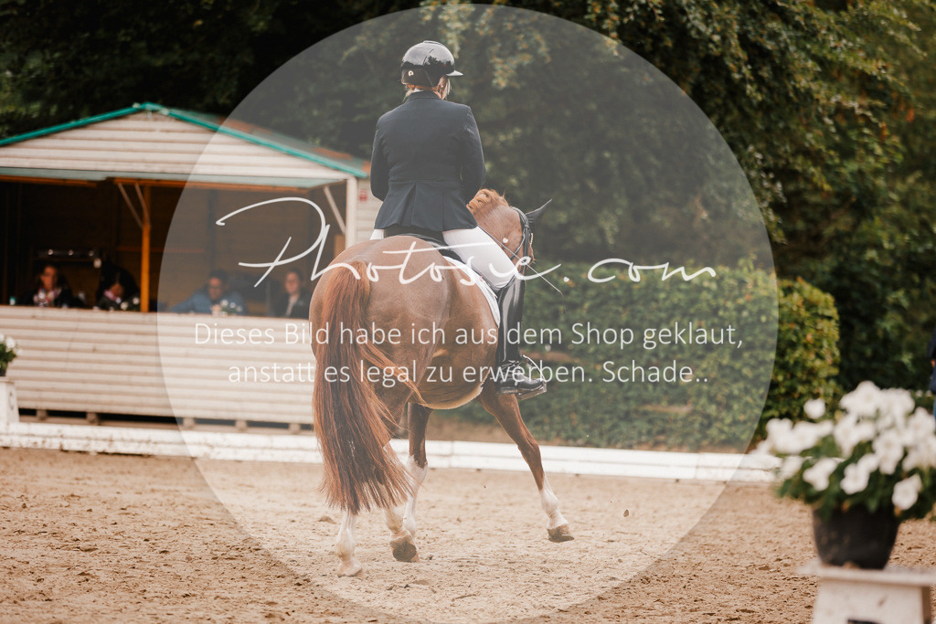 3I6A7793 | Stimmungsvolle Portraits und Reitsportfotografie im Ruhrgebiet und im Münsterland.

Pferdefotografie, Hundefotografie, Tierfotografie, Reportagen, Portraits von Tier und Mensch, Turnierfotografie in Bochum, Recklinghausen, Marl, Haltern am See, Dülmen.. - Realisiert mit Pictrs.com