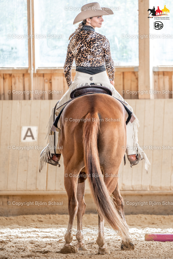 SAL01563 | BS-foto