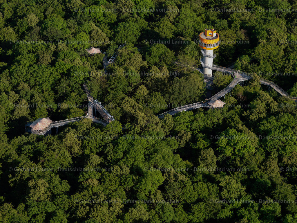3204398 | Baumkronenpfad Hainich Nationalpark