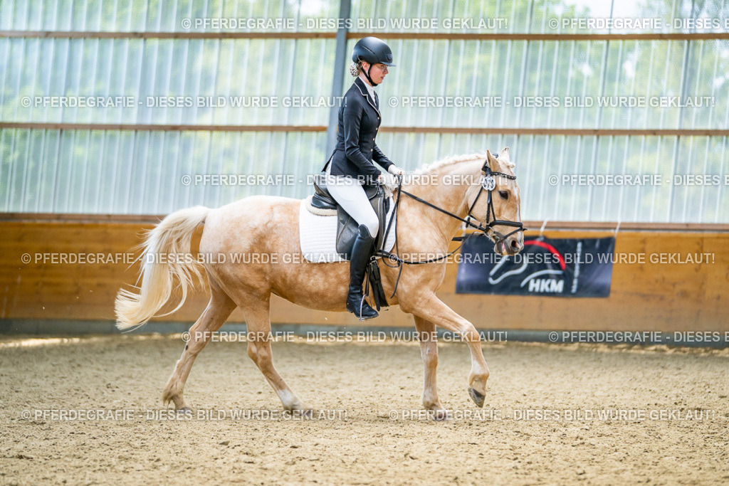 DSC04469 | Pferdegrafie