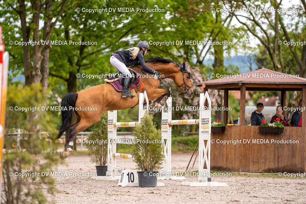 Eppelheim Tag 3-28 | dv-media-shop - Realisiert mit Pictrs.com