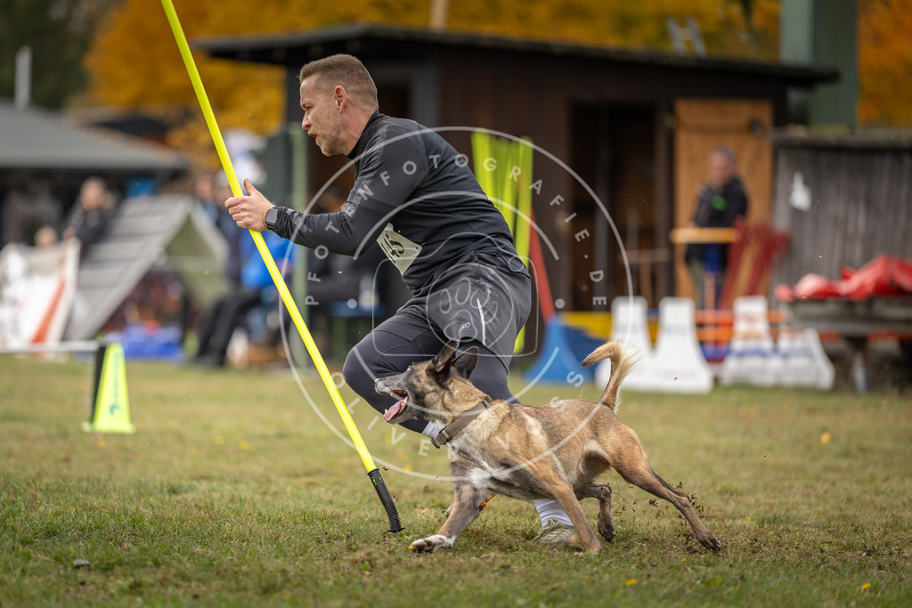 Pfotenfotografie_DV3A7804 | Hundefotografie, Tierfotograf, Pfotenfotografie, Fotoshooting Hund, Hunde Portrait, Hundesport, Hundeportraits, Heideshooting, Hunde, Sportfotograf, Hundefotograf, Turnierhundsport, THS,  - Realisiert mit Pictrs.com