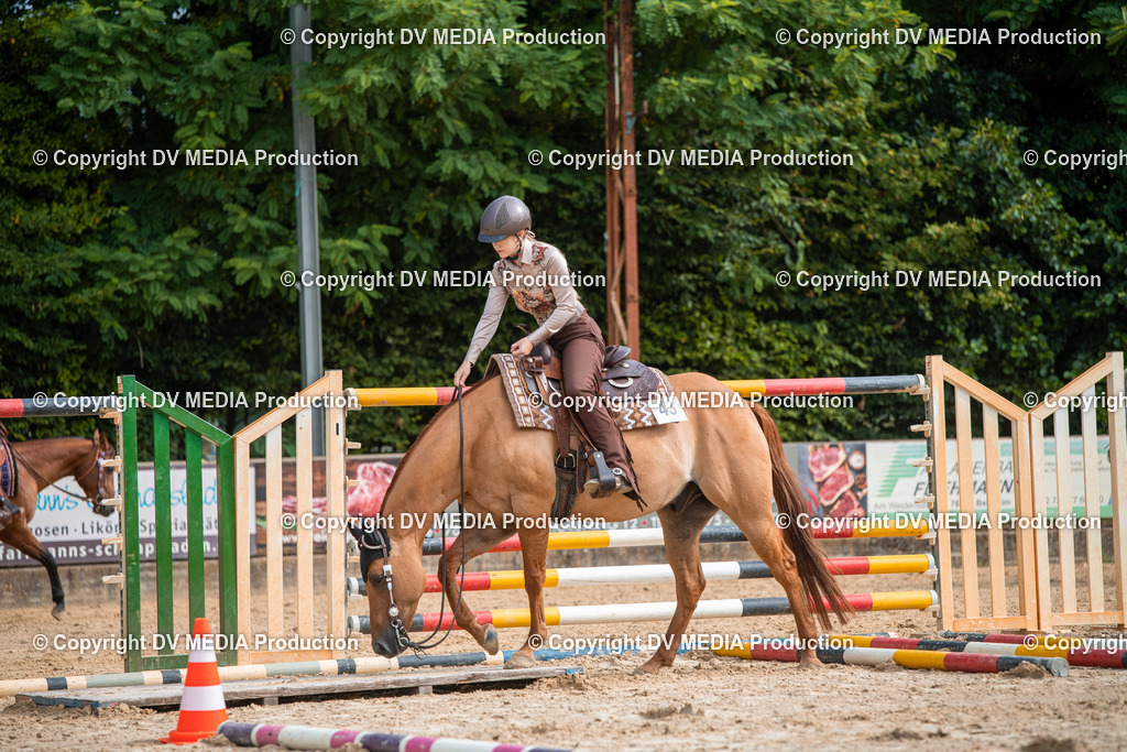 ZS2_7533 | dv-media-shop - Realisiert mit Pictrs.com