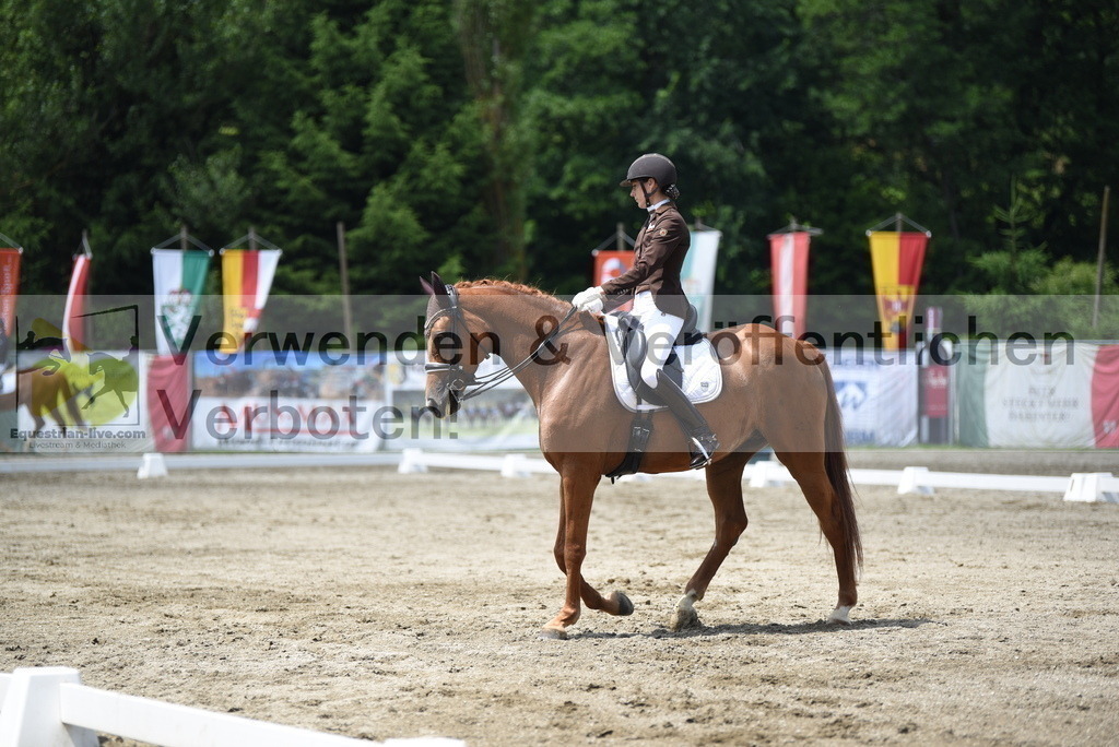 DSC_9254 | equestrian-live-com