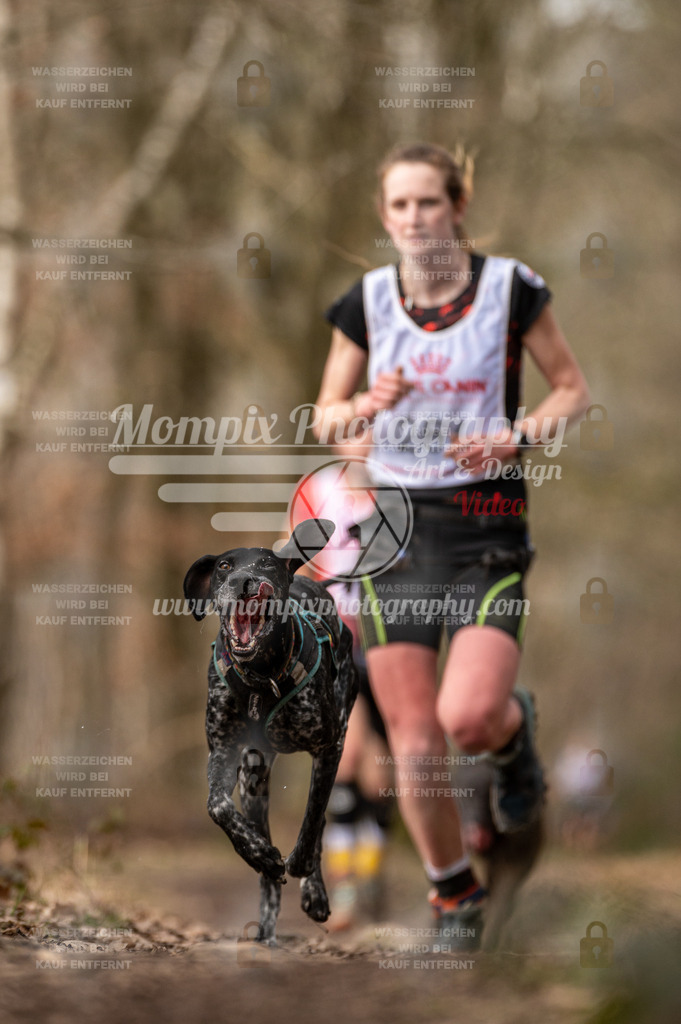 SPA_2023_SAM_CCK-3 | PayLife