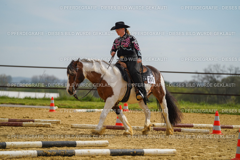 DSC02147 | Pferdegrafie