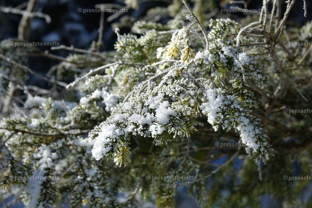 welltvi-Plansee-Winter--DSC02610 | Info aus dem Bezirk Reutte/Ausserfern Tirol sowie eine umfangreiche Bilddatenbank über die gesamte Region: Lechtal, Talkessel Reutte, Tannheimertal, Zwischentoren. Lech, Plansee, Zugspitze, Grenztunnel, B179, Fernpassstraße, Verkehr, Lawinen, Tradition, - Realisiert mit Pictrs.com
