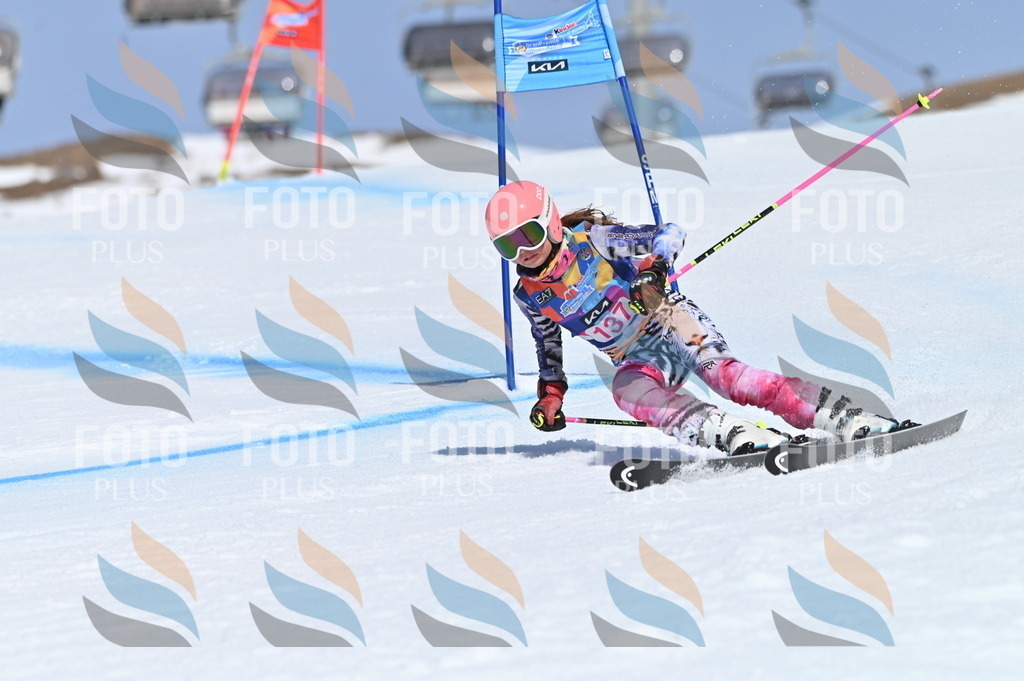 BGV_0088 | holidayphoto