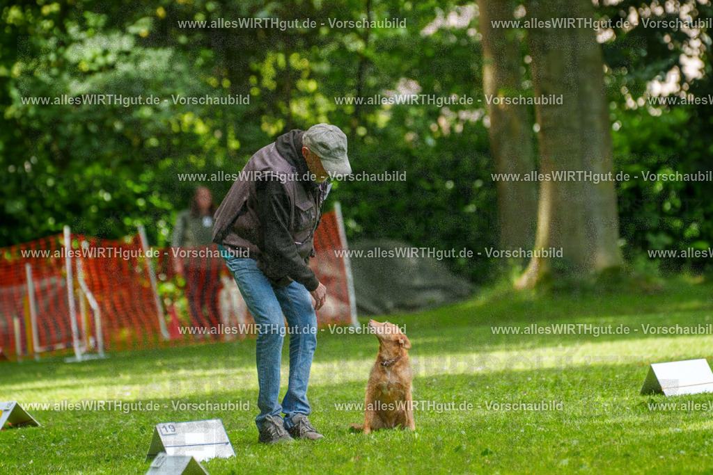 @allesWIRTHgut_Tierfotografie - www.allesWIRTHgut.de - 7R504241 | Professionelle Tierfotografie in Mönchengladbach von Daniel Wirth (allesWIRTHgut). Liebevolle & natürliche Bilder von Hunden & Katzen für unvergessliche Erinnerungen.