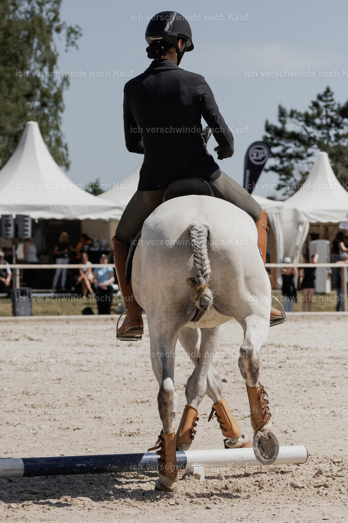 WE_SP_Stoib_336_PI2025_1691 | Pferd International München 2025