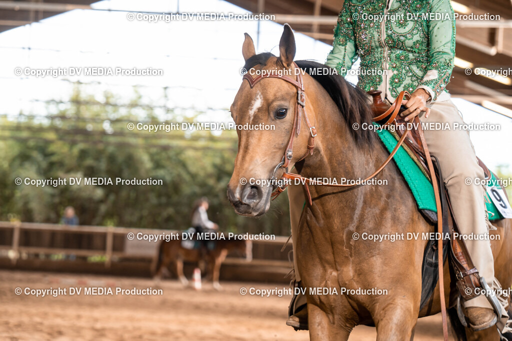 Erbach Tag 1-686 | dv-media-shop - Realisiert mit Pictrs.com